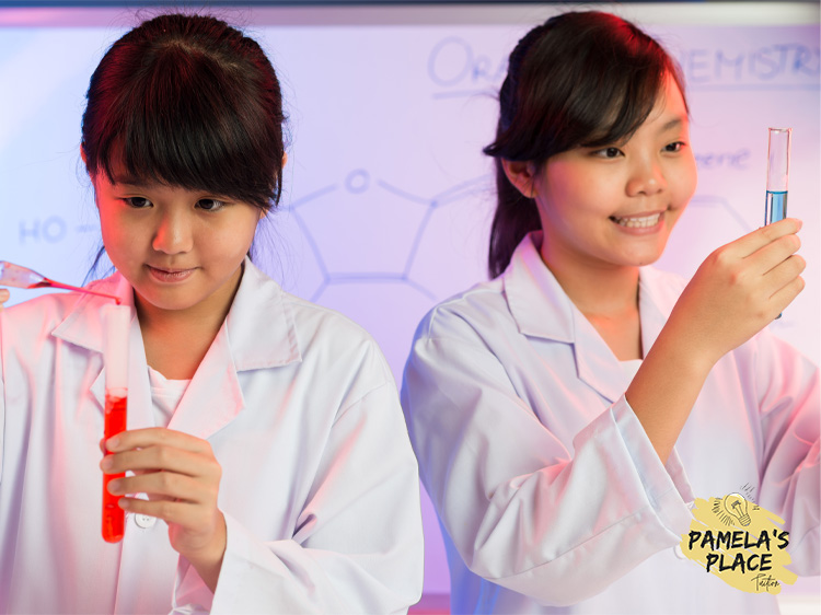 Exploring the Wonders of Science: How Chemistry and Biology Can Shape Your Future