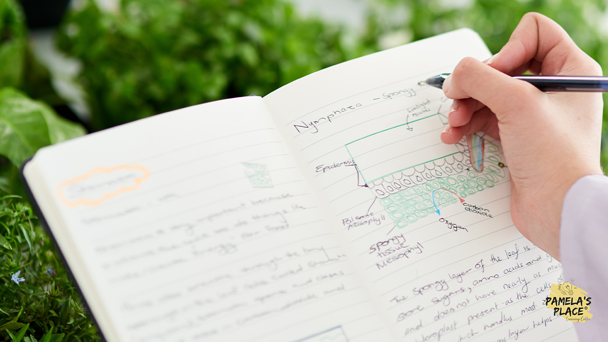 How to Study Smarter for O Levels and A Levels in Singapore: Exam Strategies That Actually Work