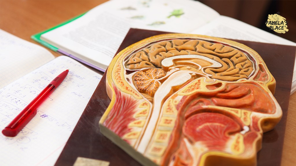 2026 O Level Biology Tuition Guide in Singapore