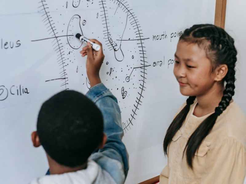 Best Biology Tuition in Singapore: How Parents Can Make an Informed Choice