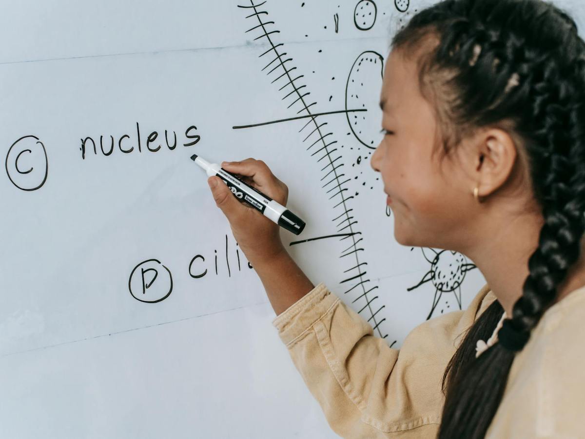 How to Memorise Biology Terminology (Singapore Guide)