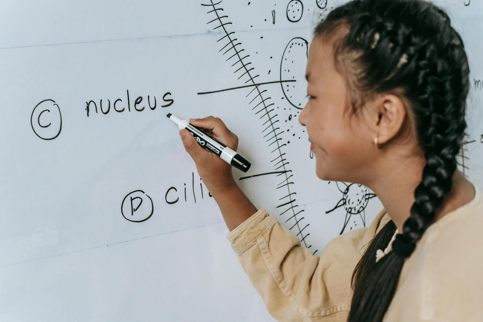 asian teen writing structure of primitive organism on whiteboard