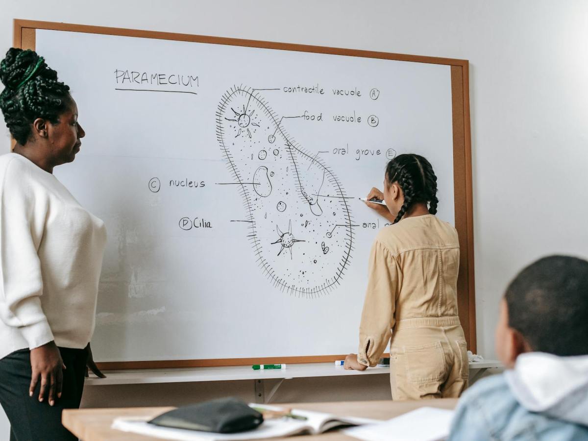 Why Biology Tuition Matters in Singapore