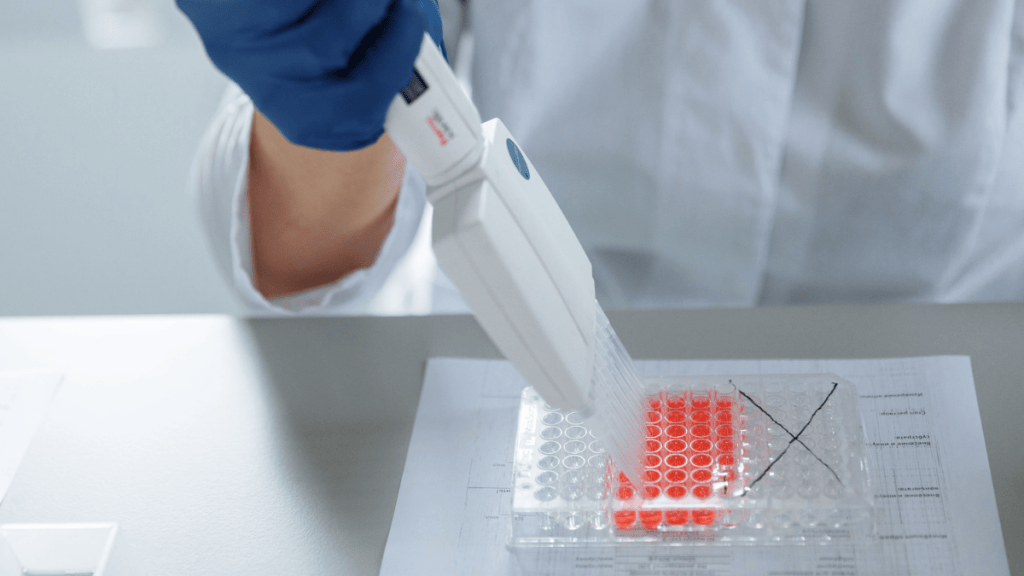 DNA Replication Explained: H2 Biology Guide (9477)